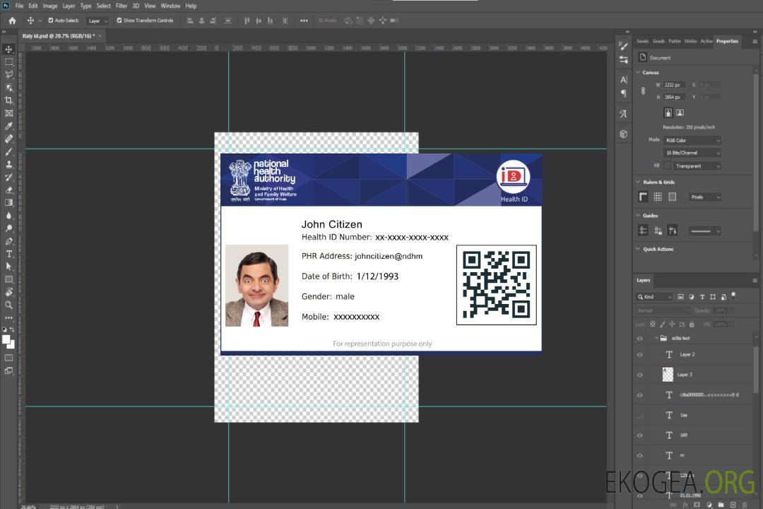 Carte d'identité sanitaire de l'autorité nationale de la santé en Inde template
